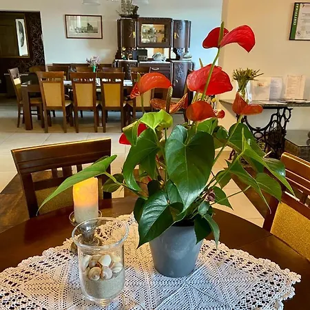 بيت ضيافة Klif &spa Jastrzębia Góra