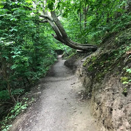 Klif &spa Jastrzębia Góra