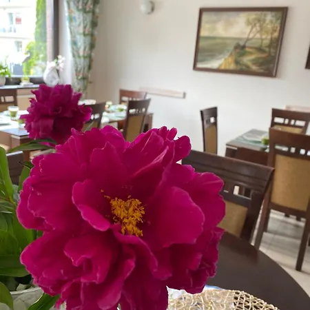 Klif &spa Gæstehus Jastrzębia Góra