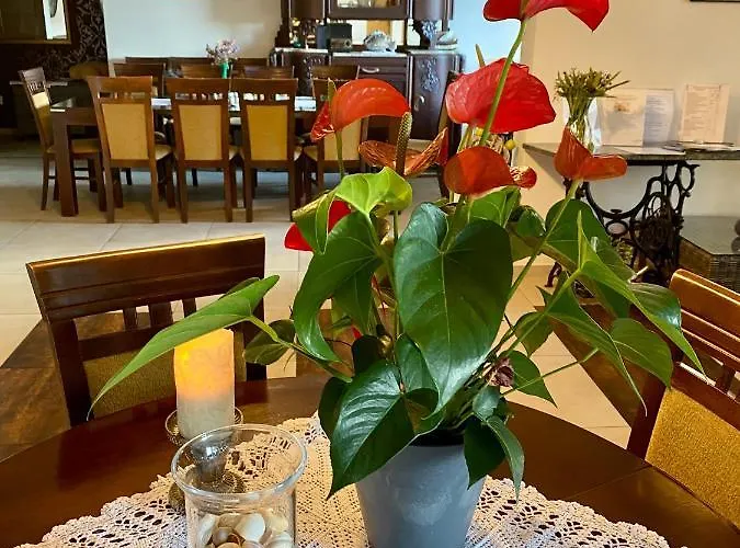 Pensión Klif &spa Jastrzębia Góra