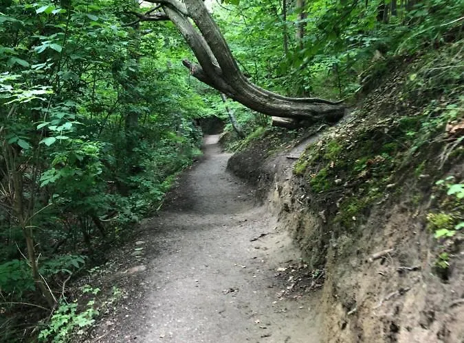 Klif &spa Jastrzębia Góra