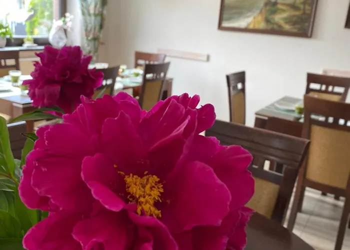 Klif &spa ゲストハウス Jastrzębia Góra